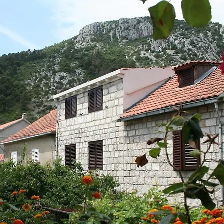 Studio Trstenik 4567a Lejlighed